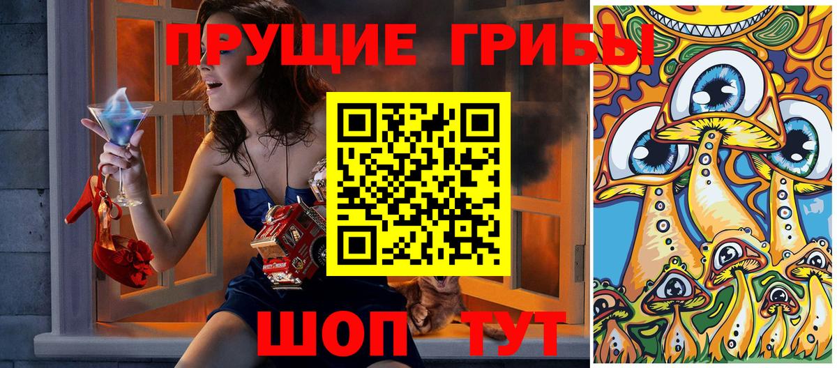 где купить наркотик  Галлюциногенные грибы Psilocybine cubensis  Майский  Вход с VPN  Псилоцибиновые грибы Psilocybe 