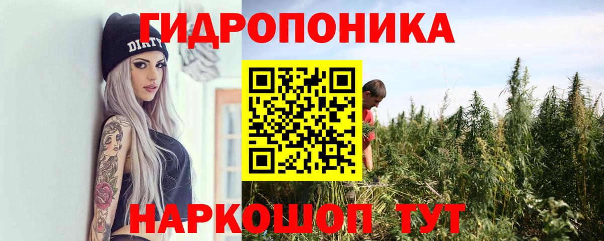 Каннабис семена Майский